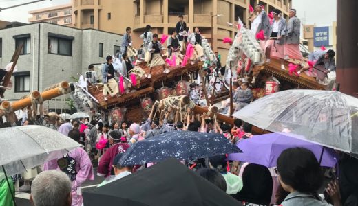 令和最初からラッキー！４５台のだんじりに遭遇！