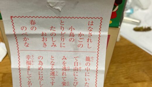 「おみくじ」引きました